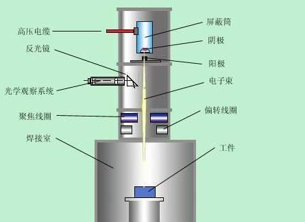 香港全年最全免费资料